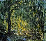 Weeping Willow 5